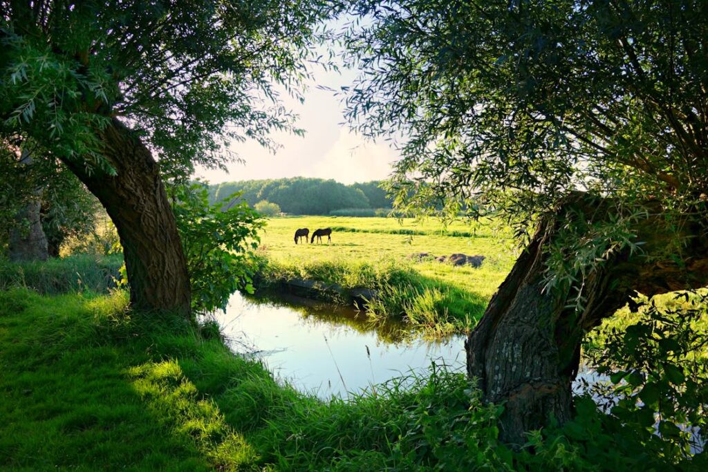 Fiets-Fun uitzicht fietsvakantie in Nederland