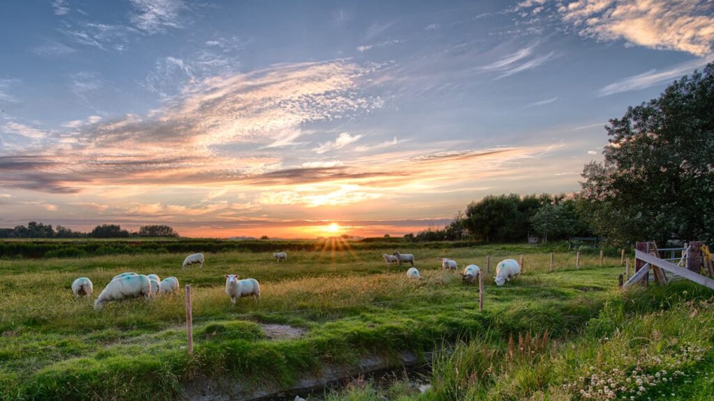 Fiets-Fun zonsondergang fietsvakantie in Nederland